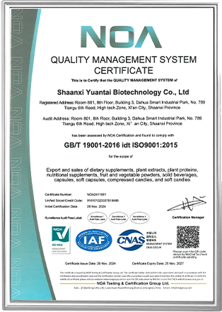 ISO-9001