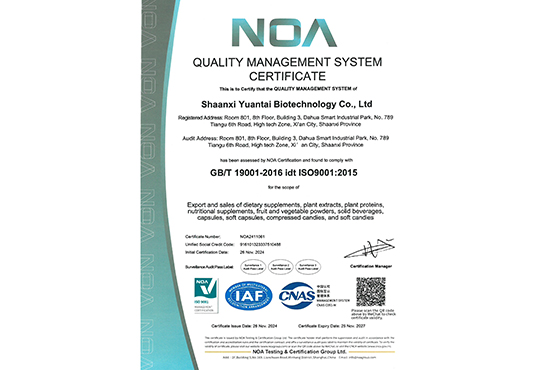 ISO 9001认证