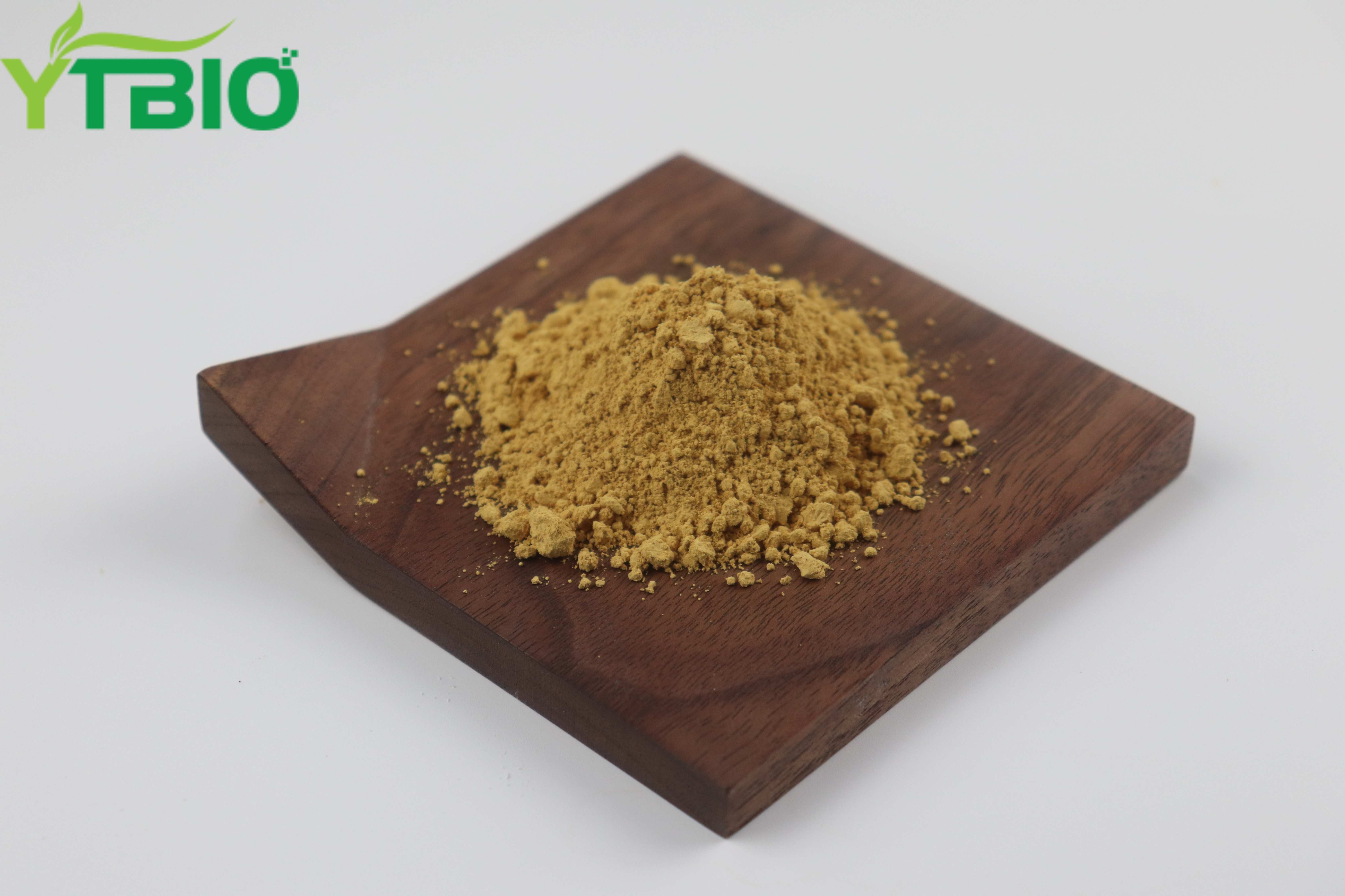 YTBIO Milk Thistle Extract CAS 65666-07-1 Silymarin 80% In Stock