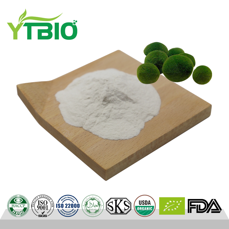 Chlorella growth factor powder