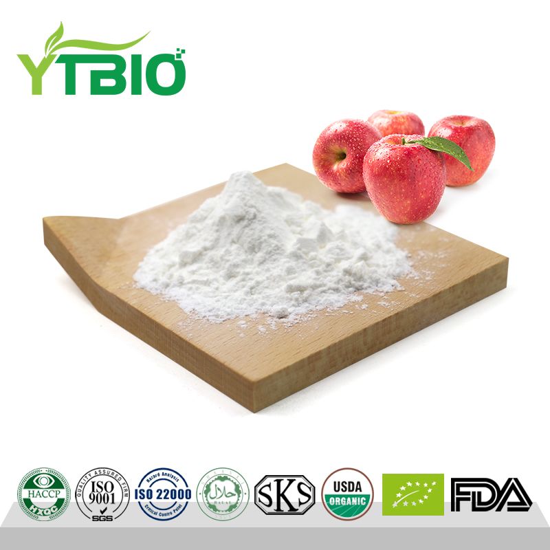 Apple Extract Pure Phlorizin Powder