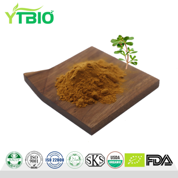 Bacopa Monnieri Extract Powder
