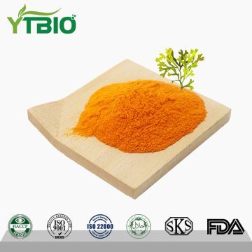 Natural Pigment Fucoxanthin 3351-86-8