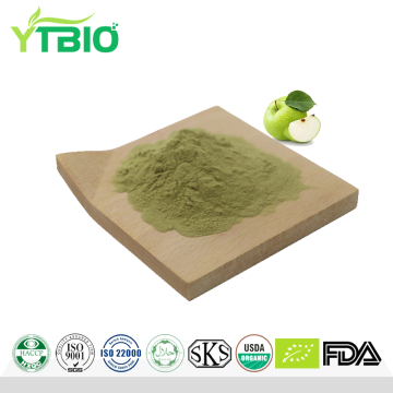Green Apple Powder Apple Fruit Extract