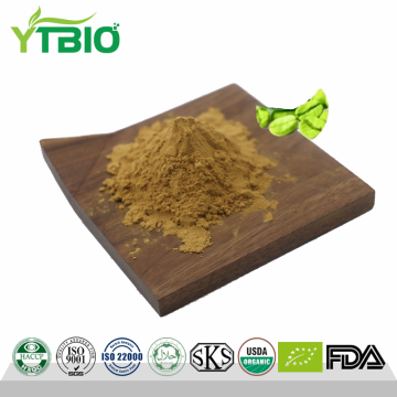 Green Coffee Bean Extract Chlorogenic Acid