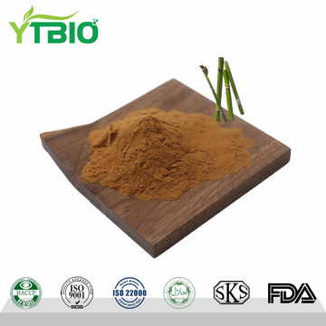 High Purity Horsetail Extract Powder