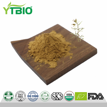 Motherwort Extract Powder