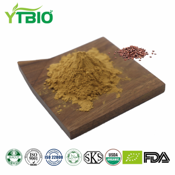 Jujube Seed Extract Powder