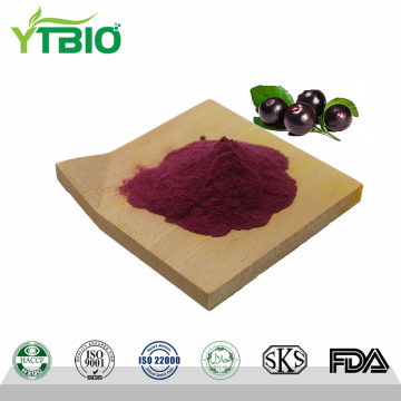 High Purity Acai Berry Fruit Powder
