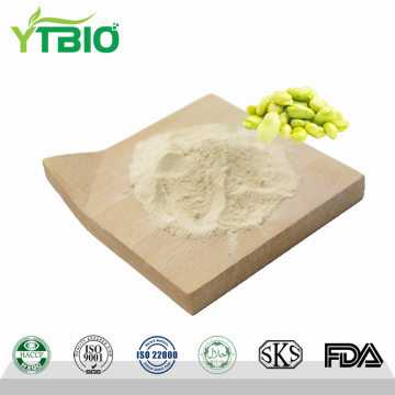 Wholesale Fava Bean Protein