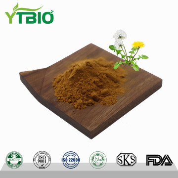 Manufacturer 10: 1 Dandelion Extract Powder