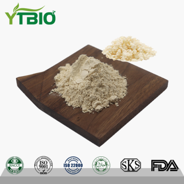 Manufacturer Supply Rice Protein