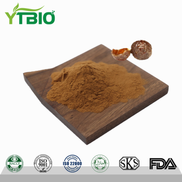Wholesale Soapberry Extract Powder