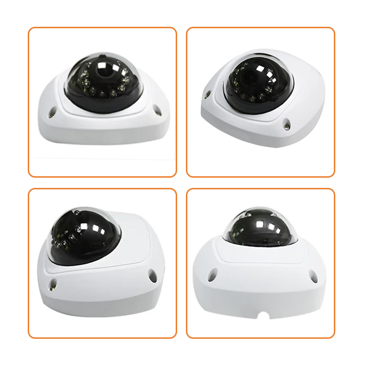 analoge Dome-Kamera.jpg