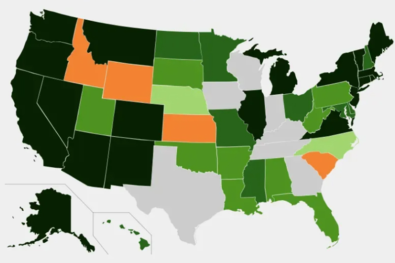 La industria de la marihuana en Estados Unidos