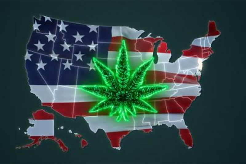 El gobierno estadounidense planea reclasificar la marihuana.