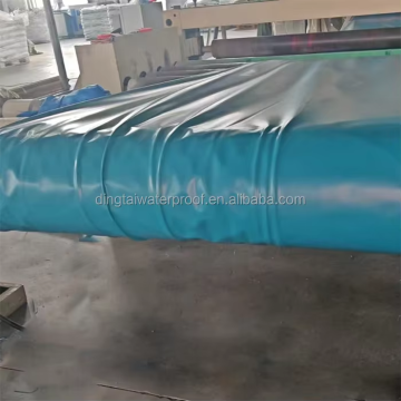 Black Green Blue HDPE Geomembrane DPM Damp Proof Membrane Roll for Building Foundation Damp Proof Fish Pond & Shrimp Farm