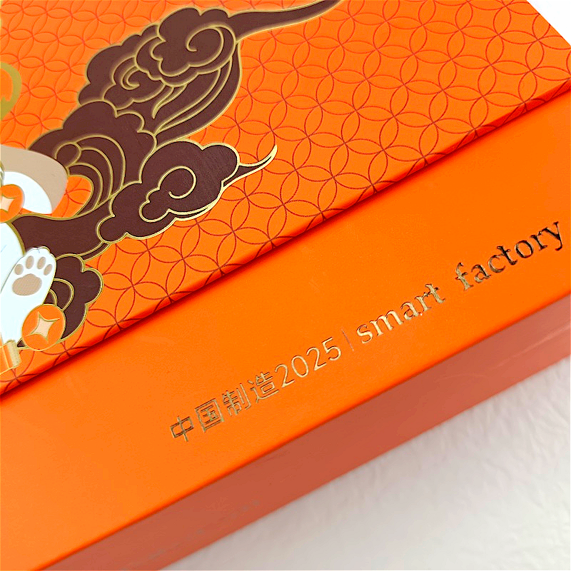 Magnetic Lid Gift Packaging Box (10)
