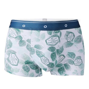 Men's Fashion Printed Underwear Boxers <br/>C561