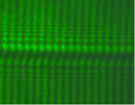 10u1