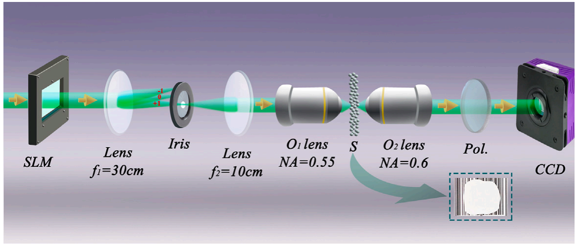 Robust and high-contrast multifocal focusing method based on amplitude-type spatial light modulators