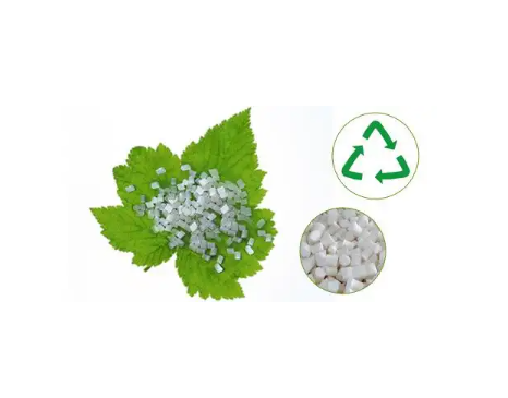 El futuro del embalaje sostenible: venta al por mayor de envases de alimentos biodegradables y máquinas de termoformado