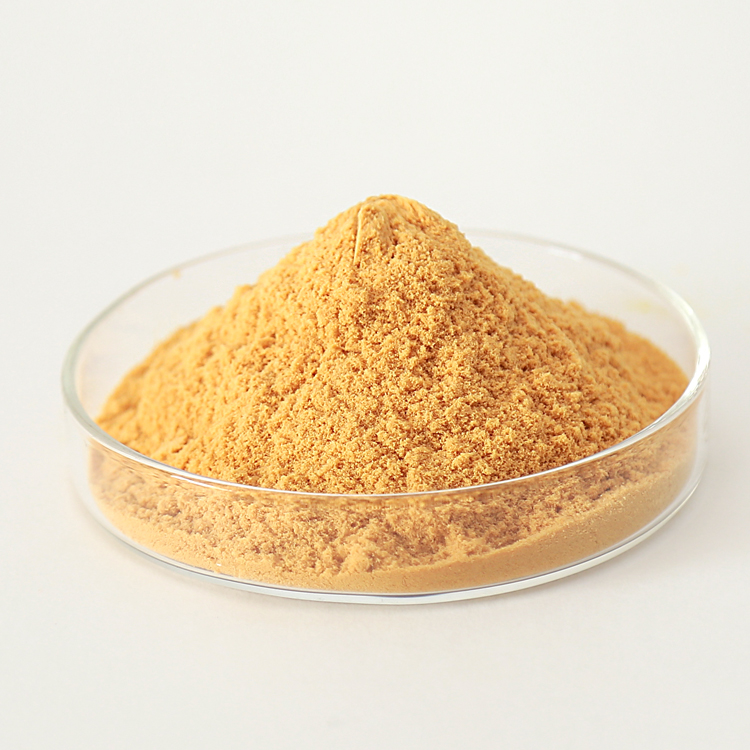 Hot Products