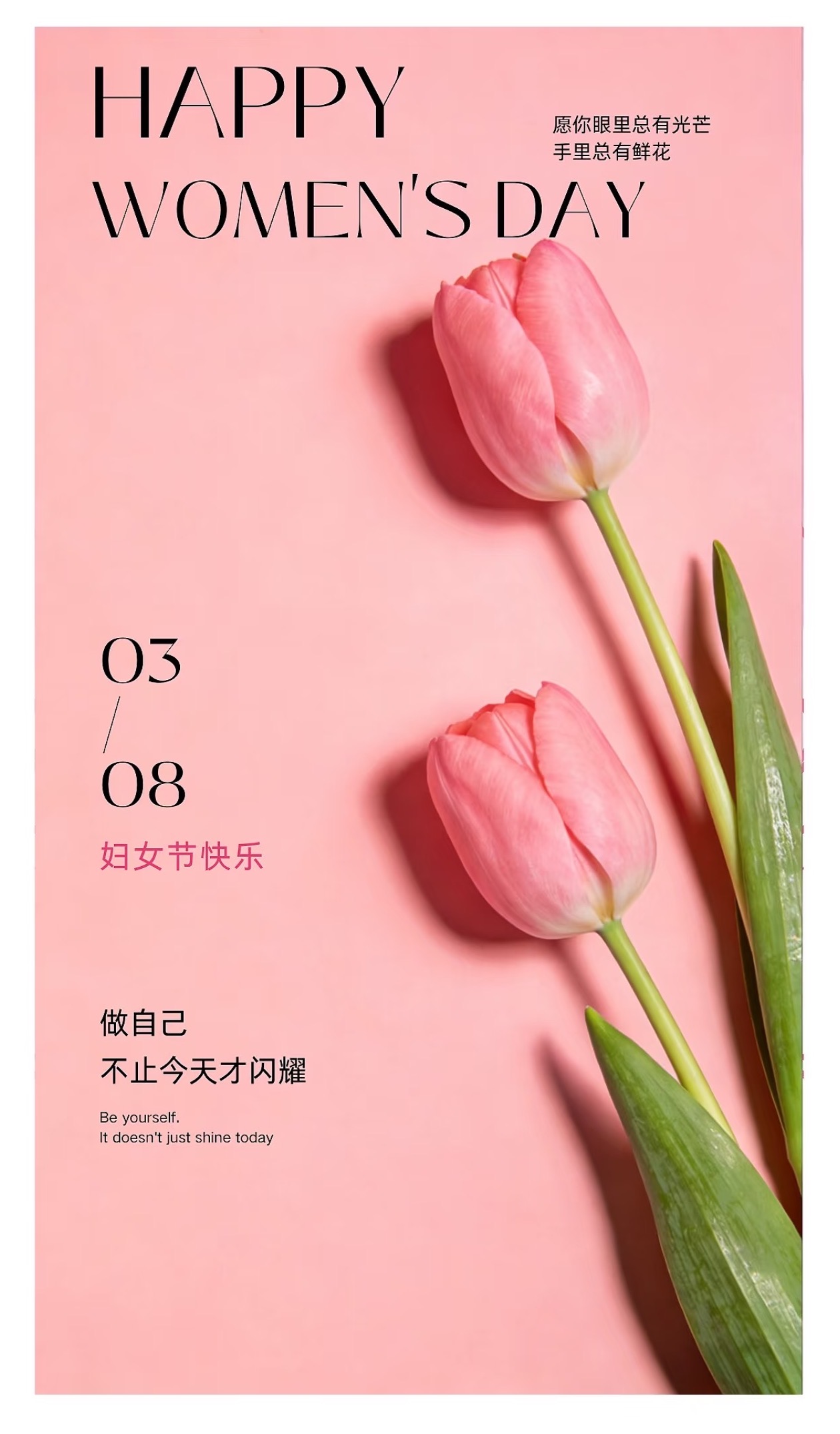 ZHIMAX Hardware: Empowering Global Women with Premium Wardrobe Hanging Rod and 3D Adjustable Concealed Hinge on International Women’s Day