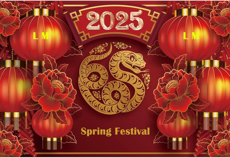 2025 China Spring Festival Holiday Notice
