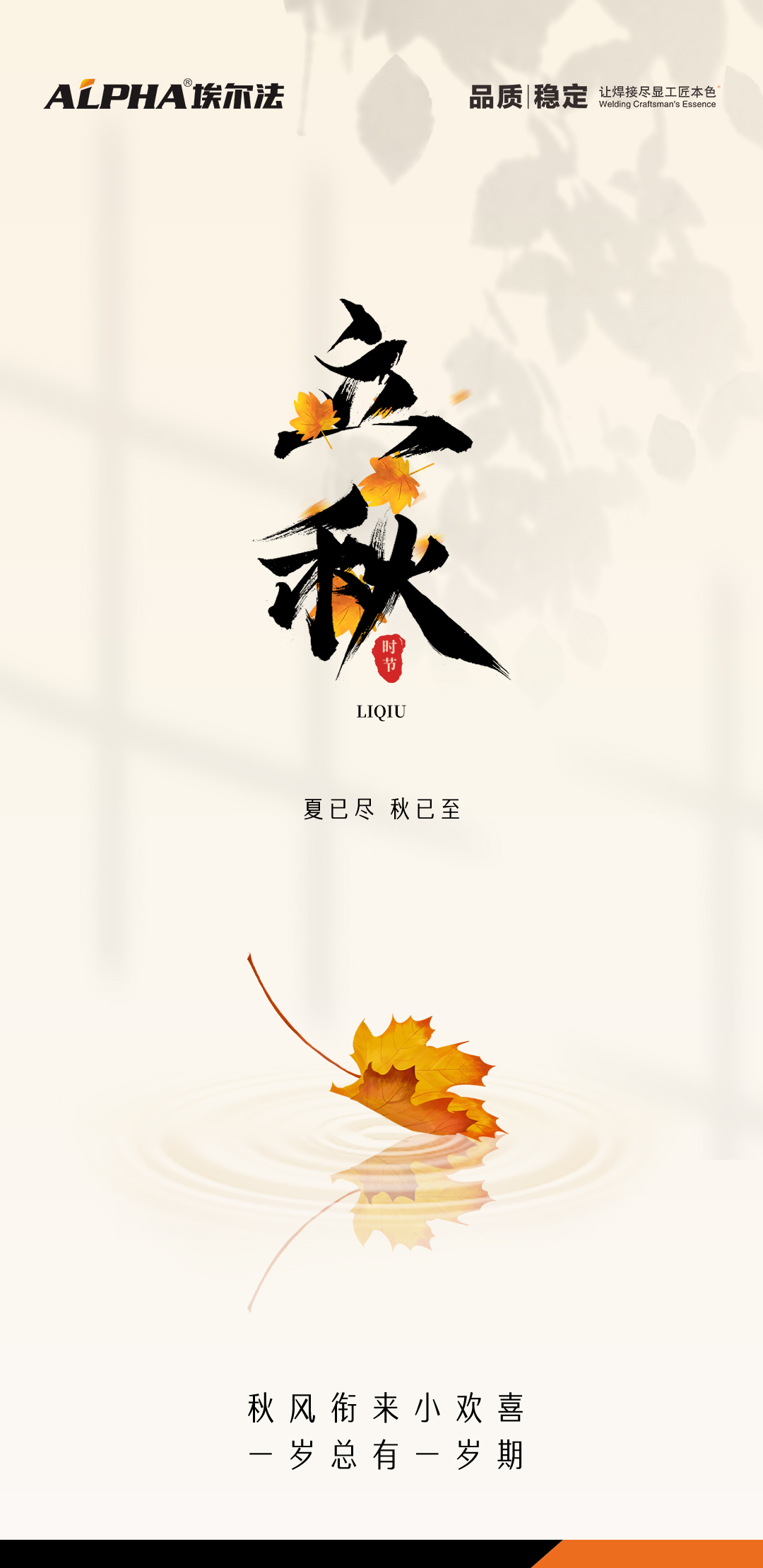 13th Solar Term of The Traditional Chinese Calendar-ALPHA Company Activities