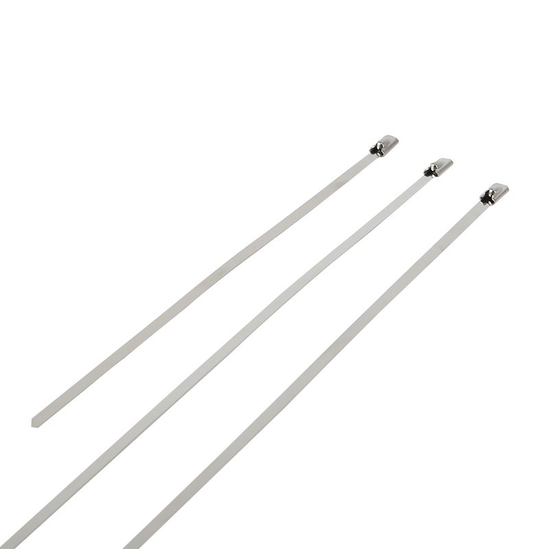 Self Locking Stainless Steel 304/316 Cable Zip Ties