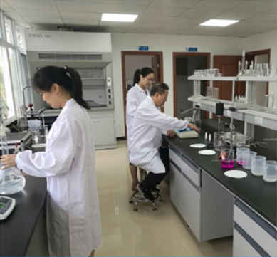 2009THE DEVELOPMENT COURSE 