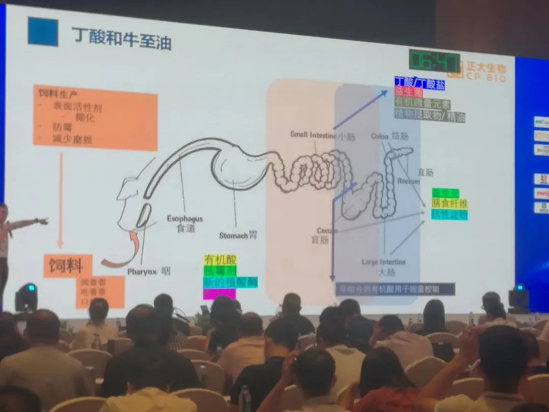 2020 Hunan Jianghai Environmental Protection participated in the Yihe Forum25.png