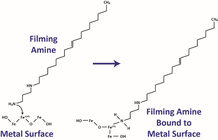 filming Amine bound to metal surface