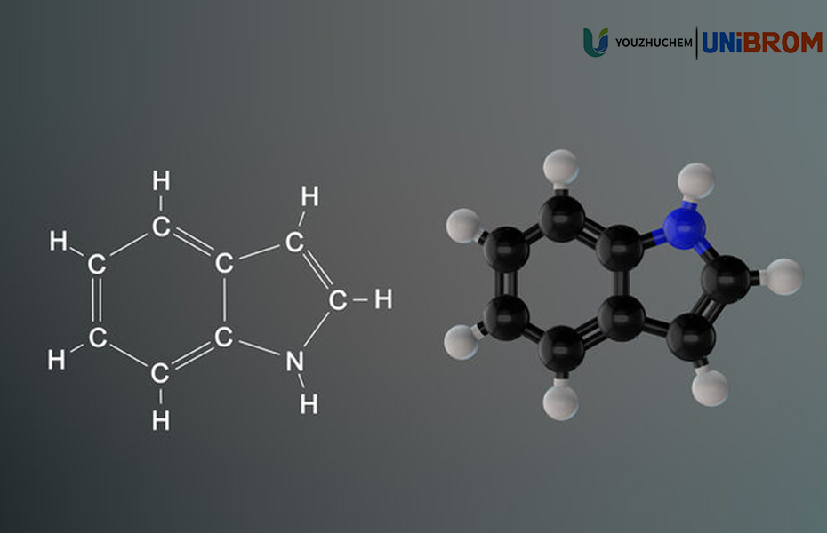Relationship and Comparison of Pyridine-Based and Imidazoline-Based Corrosion Inhibitors