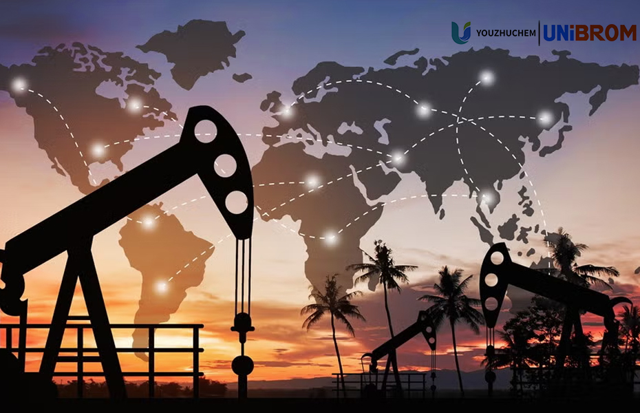 Top 10 Global Oil and Gas Discoveries! The Largest Discovery Is Here！