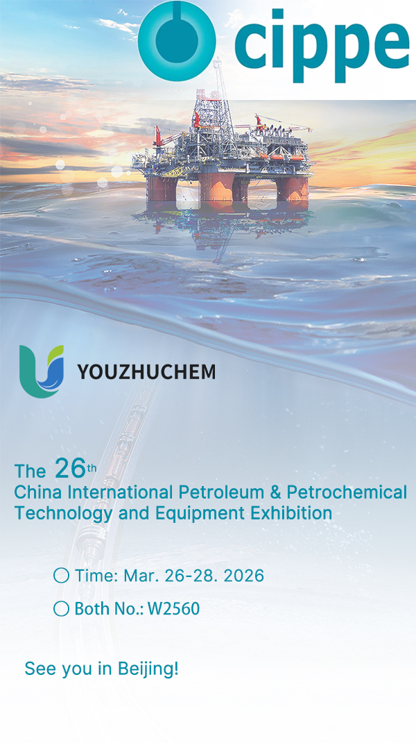 YouzhuCHEM and CIPPE 2026.jpg