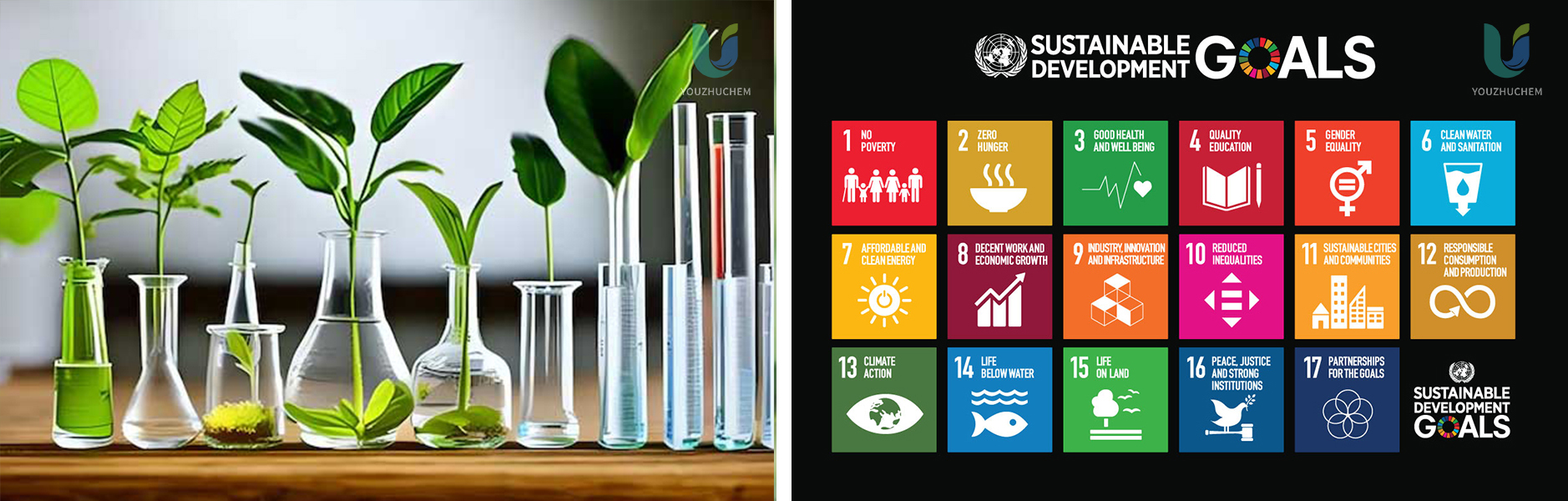 【2020-09】sustainable development of the United Nations (2).jpg