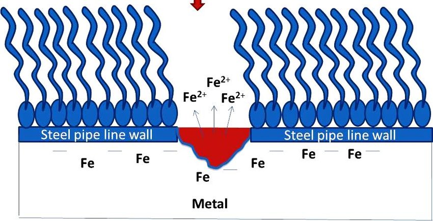Sketch-of-adsorption-of-imidazoline-corrosion-inhibitor-on-corroding-Fe-surface.png