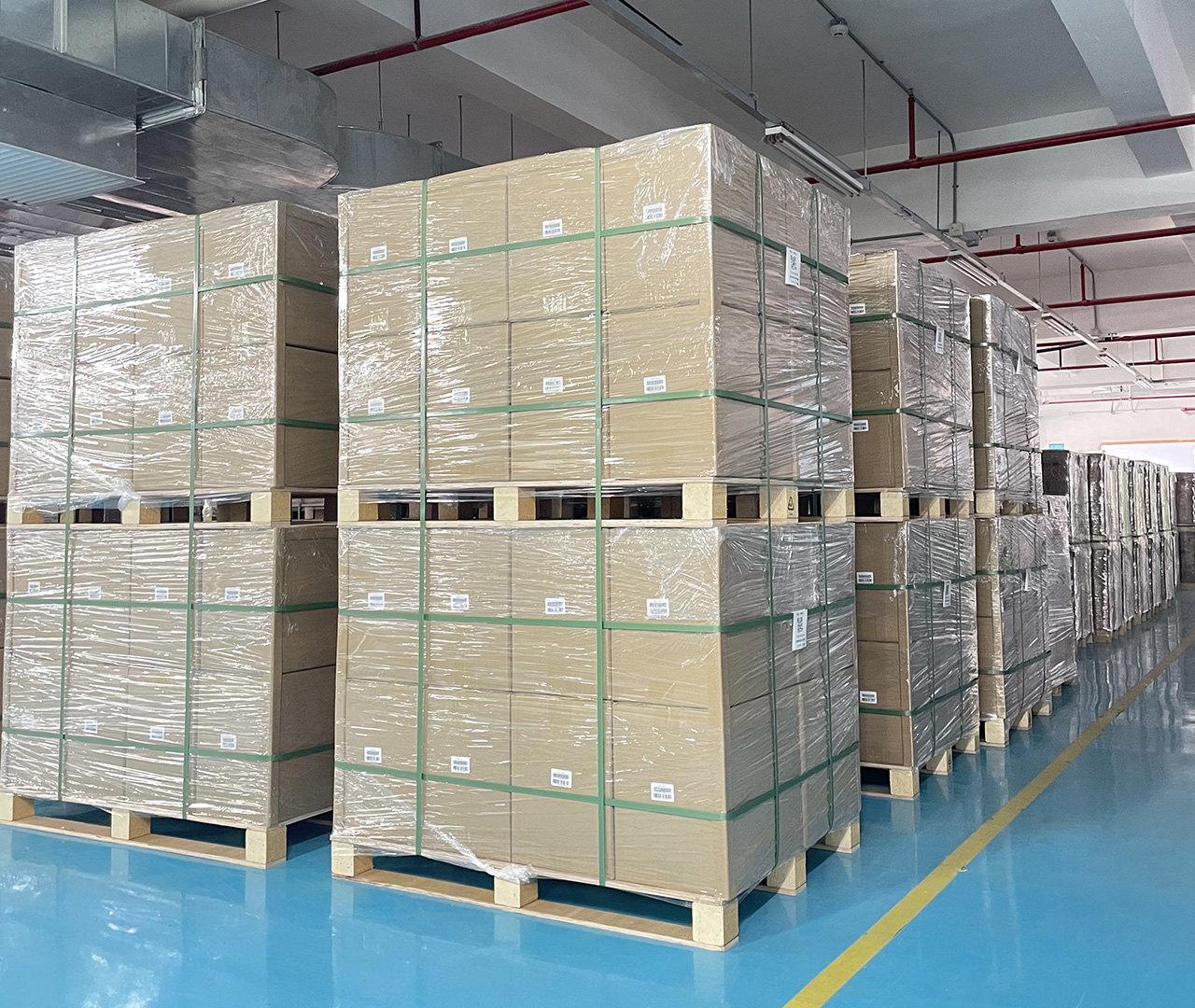 Shenzhen REO (6)