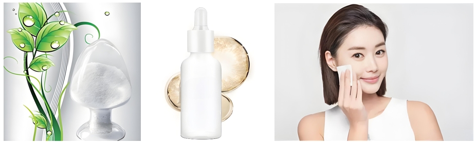 natural ferulic acid anti-wrinklesilr