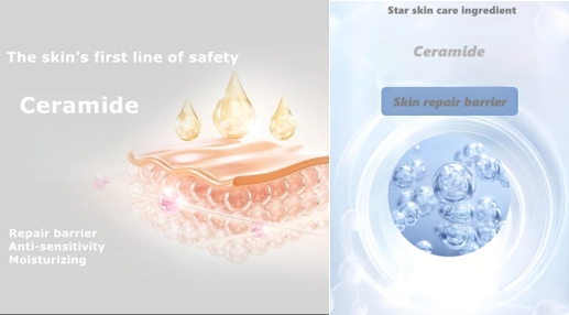 ceramide skin repair barrier