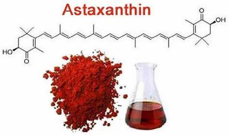 Skin care antioxidant active ingredient pure natural astaxanthin