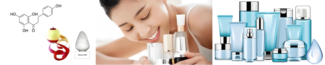 플로레틴 산화방지제 중국 공장 9kk