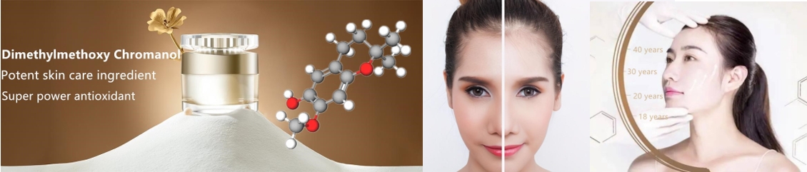 Dimethylmethoxy Chromanol DMC.png
