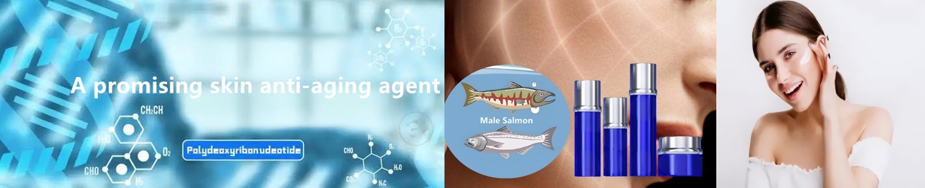 DNA natrium anti-penuaan