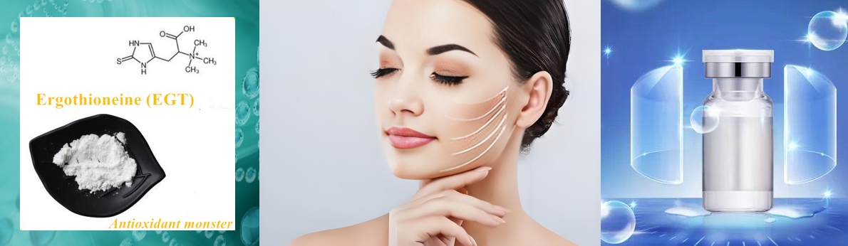 Erythrothioneine sun protection