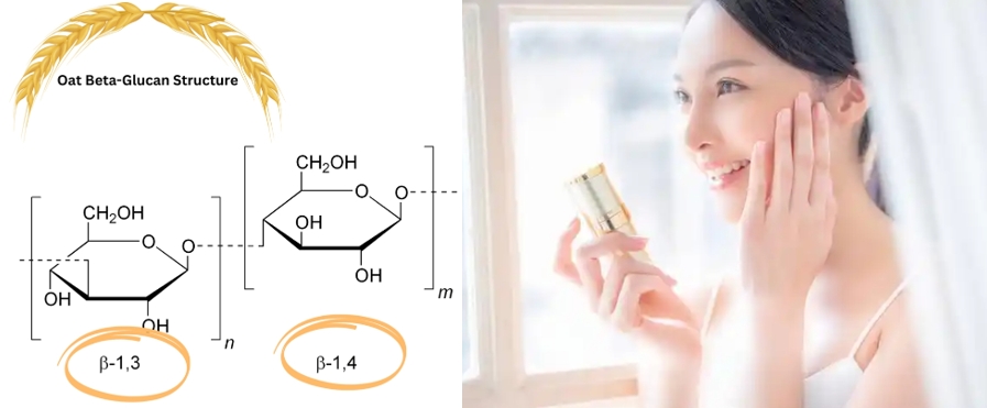 oat β-glucan moisturizing