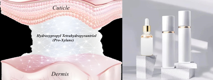 Pro-Xylane personal care