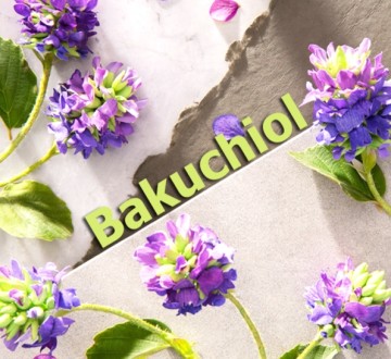 Ekstrak tumbuhan alami anti-penuaan anti-kerut Bakuchiol